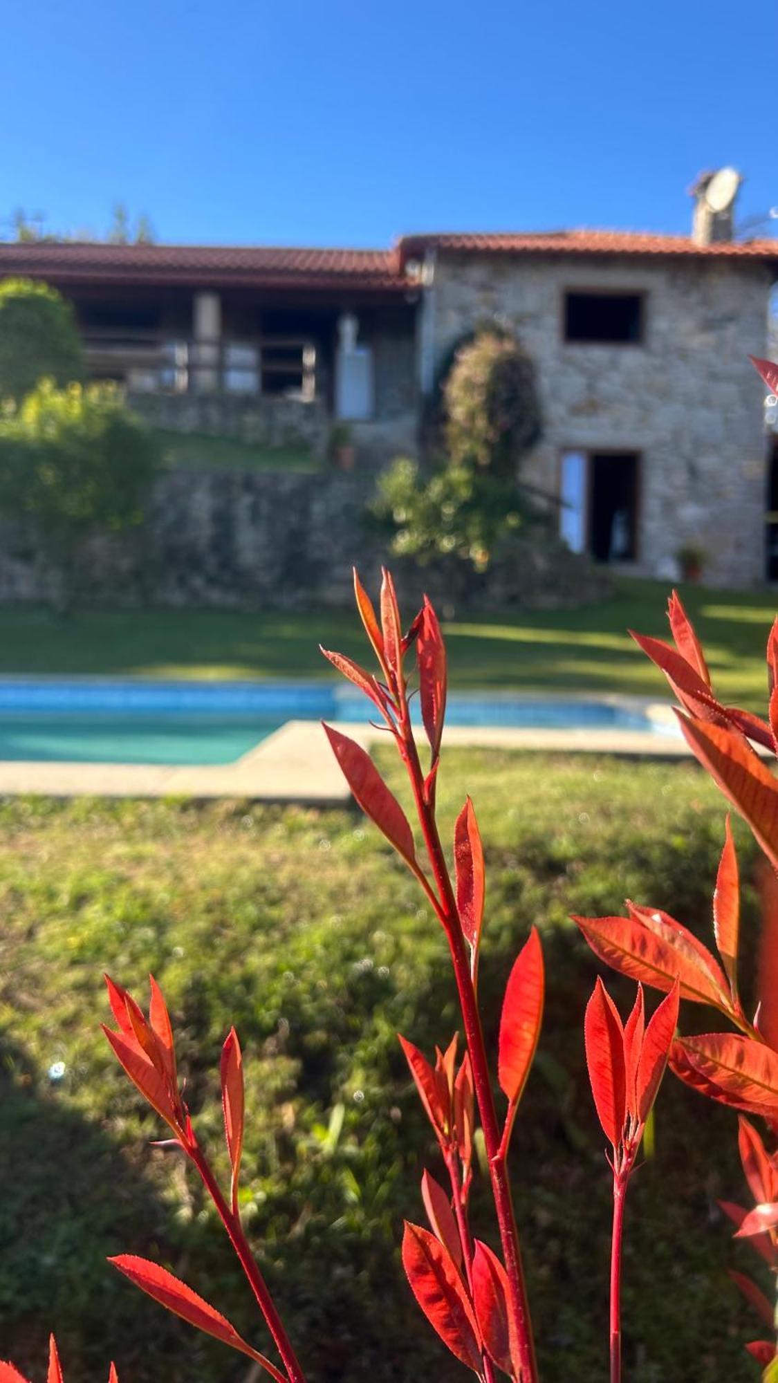 Casa Das Andorinhas 塞洛里库迪巴什图 外观 照片